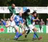 roeltograswh26_small.jpg