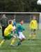 togrd1rijnmondhgvlsportd312_small.jpg