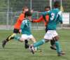 togre2kampioen34_small.jpg