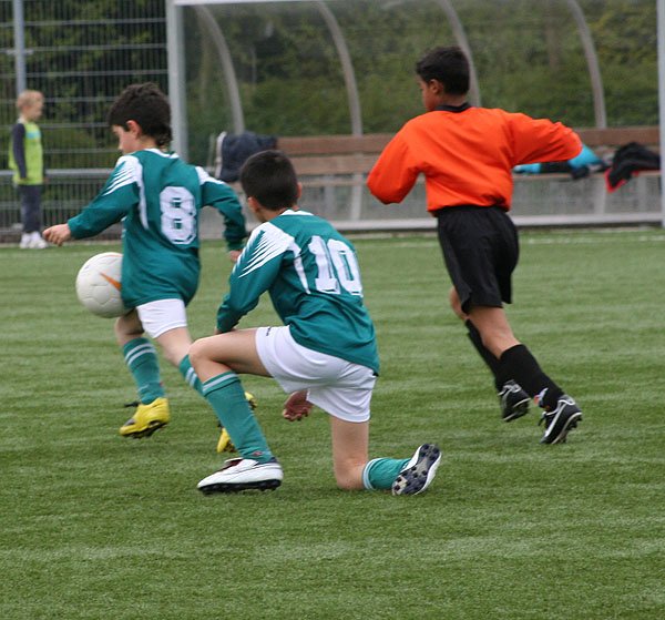 togre2kampioen6.jpg