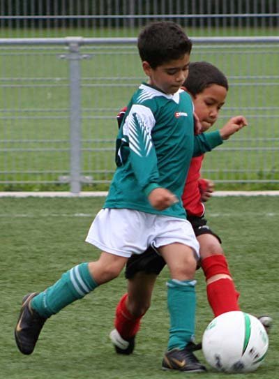 togrf1slikkerveerf113.jpg