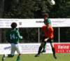 heliodaveigadiastogr2smitshoek32_small.jpg