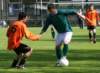 togrb1smitshoek12_small.jpg