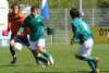 togrb1smitshoek29_small.jpg