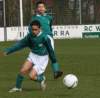togrd1zwerversd7_small.jpg