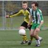 togr4strijen630_small.jpg