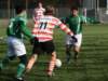 togr3zestienhoven210_small.jpg