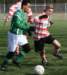 togr3zestienhoven29_small.jpg