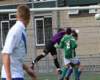togra1piershila1beker7_small.jpg