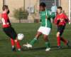 togrc1slikkerveerc428_small.jpg