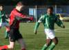 togrc1slikkerveerc439_small.jpg