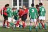 togrc1slikkerveerc443_small.jpg