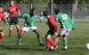 togrc1slikkerveerc446_small.jpg