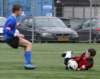togrc1vvorc319_small.jpg
