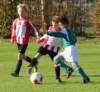 hekeliingene7togre229_small.jpg