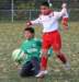 drle3togre110_small.jpg