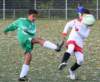 drle3togre112_small.jpg