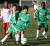 drle3togre121_small.jpg
