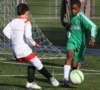 drle3togre132_small.jpg