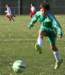 drle3togre134_small.jpg