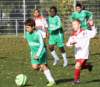 drle3togre136_small.jpg