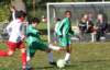 drle3togre143_small.jpg