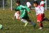 drle3togre145_small.jpg