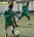 drle3togre14_small.jpg