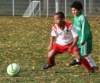 drle3togre15_small.jpg