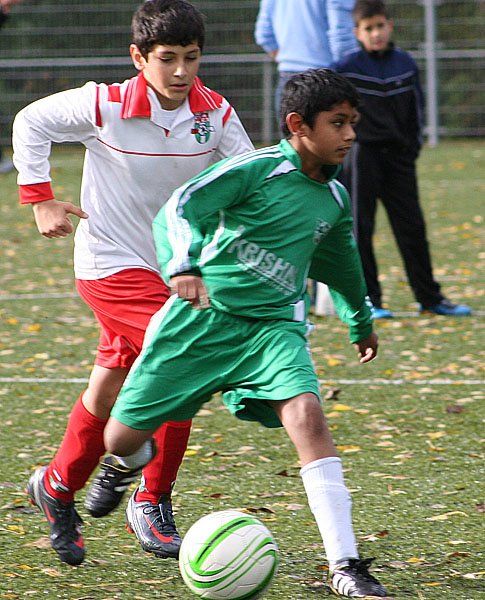 drle3togre17.jpg