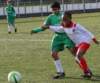 drle3togre19_small.jpg