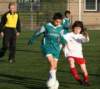 togre1barendrechte714_small.jpg