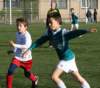 togre1barendrechte729_small.jpg