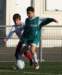 togre1barendrechte731_small.jpg