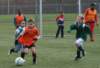 nieuwjaar201210_small.jpg