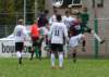 togrschoonhoven15_small.jpg